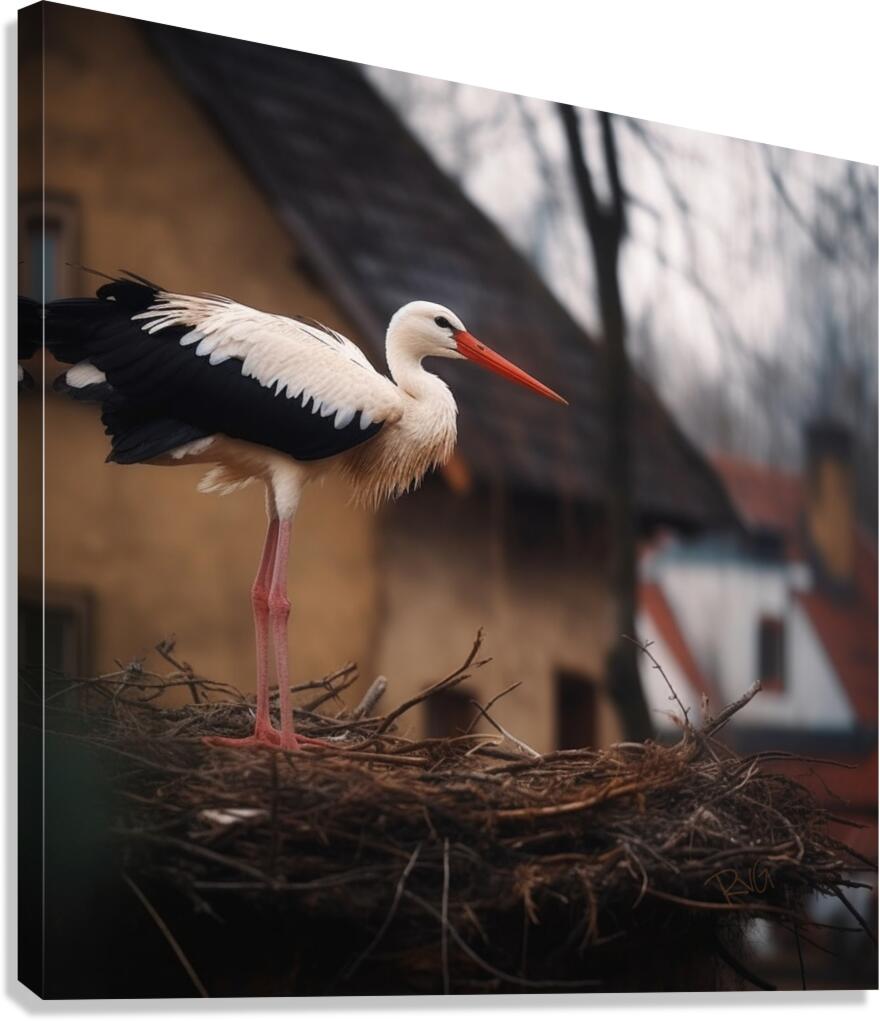 TheGuardian Canvas Print