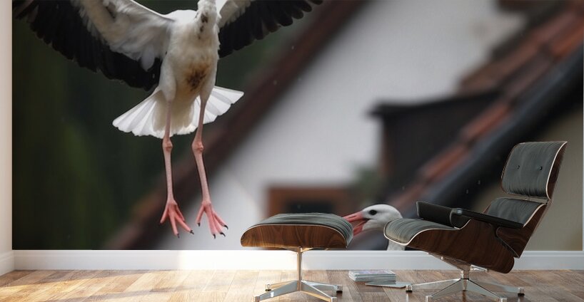 Happy Birds Wall Murals