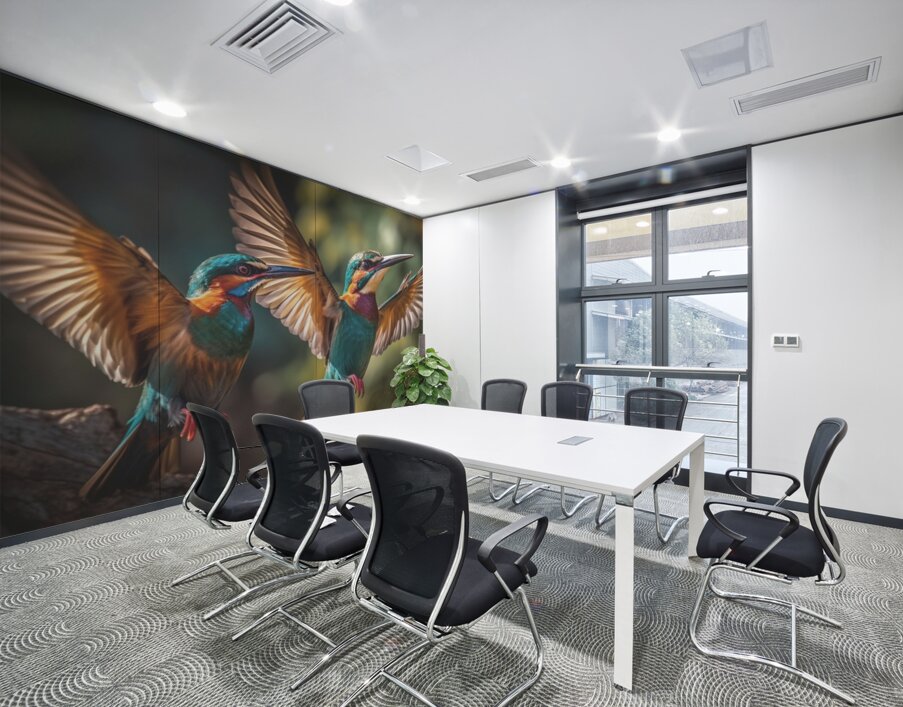 Colorful Birds Wall Printing